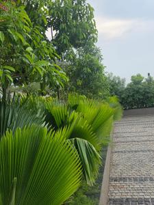 Image of 3000 Sq.ft 4 BHK Duplex for sale in Kachana, Raipur for Rs. 12000000