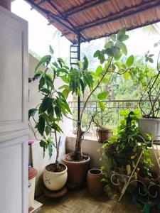Living Room Image of 1150 Sq.ft 2.5 BHK Apartment / Flat for sale in Kothrud Pune for Rs. 13470000
