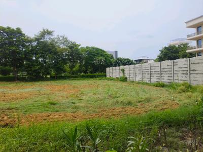 Experion The Westerlies Plot View 2