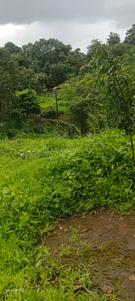 Image of 2540 Sq.ft Residential Plot / Land for sale in Karjat, Thane for Rs. 3810000