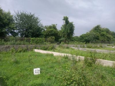 Paud Plot View 2