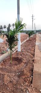 Image of 1200 Sq.ft Residential Plot / Land for sale in Jayapura, Mysore for Rs. 1992211