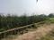 Sonargaon 2 Sonarpur plot project kolkata Plot View 2