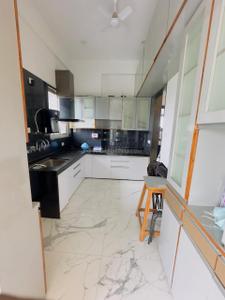 Kitchen Image of 1250 Sq.ft 2 BHK Apartment / Flat for rent in Lotus Court, Civil Lines Nagpur for Rs. 30000