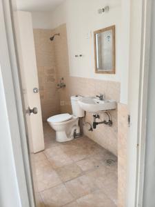 Bathroom Image of 1319 Sq.ft 3 BHK Apartment / Flat for rent in Jaypee Aman, Sector 151 Noida for Rs. 19999