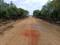 Alekhya Amara County Internal Roads 2