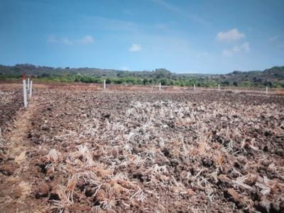 Ulwe Plot View 2