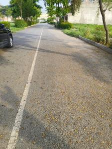 Golden Gate Residency II Internal Roads 1
