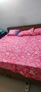 Bedroom Image of 911 Sq.ft 1 BHK Apartment / Flat for rent in Noida Extension Greater Noida for Rs. 17000