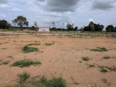Open plot kothur Plot View 2