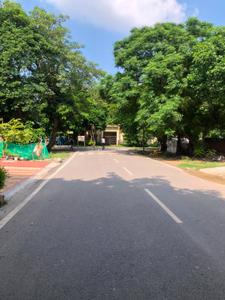 Image of 3767 Sq.ft 1 BHK Independent House for sale in Delta III, Greater Noida for Rs. 43000000