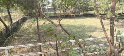 Image of 1200 Sq.ft Residential Plot / Land for sale in Juhapura, Ahmedabad for Rs. 5000000