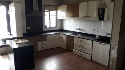 Kitchen Image of 3000 Sq.ft 2 BHK Apartment / Flat for rent in Sevoke Rd Siliguri for Rs. 40000