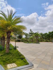Image of 1500 Sq.ft Residential Plot / Land for sale in Godrej Reserve, Devanahalli, Bengaluru for Rs. 14250000