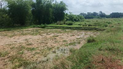 Image of 3050 Sq.ft Residential Plot / Land for sale in Kuruda, Balasore for Rs. 2100000