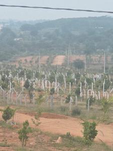 Image of 121 Sq.ft Residential Plot / Land for sale in Keesara, Secunderabad for Rs. 786500