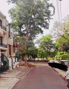 Image of 2250 Sq.ft 6 BHK Independent House for sale in Sector 21, Chandigarh for Rs. 140000000