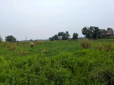 Wander Valley Plot View 2