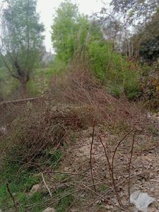 Surya vihar Plot View 3