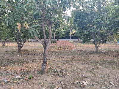 Image of 1500 Sq.ft 2 BHK Farm House for sale in Mahabalipuram, Chennai for Rs. 25000000