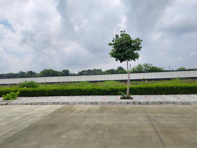 Residential Plot