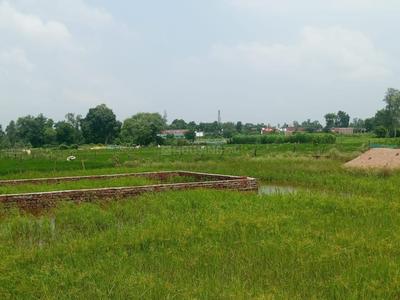 Image of 2000 Sq.ft Residential Plot / Land for sale in Gosainganj, Lucknow for Rs. 3000000