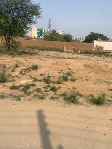 Sushant Lok Phase 3 Plot View 1