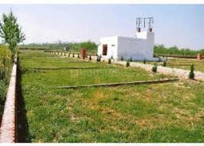 Residential Plot