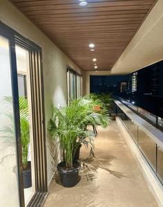 Balcony Image of Sharma PG  in Lajpat Nagar, New Delhi