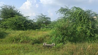 Image of 300 Sq.ft Residential Plot / Land for sale in Sector 18, Noida for Rs. 20500000