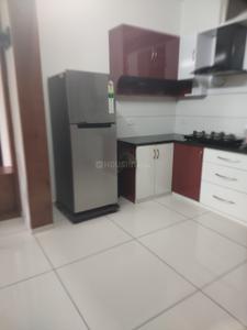 Kitchen Image of 1000 Sq.ft 2 BHK Apartment / Flat for rent in Northern City B Block, Pumpwell Mangalore for Rs. 33000