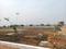 Shadnagar Plot View 2