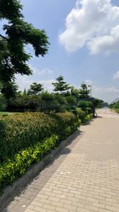 Image of 43560 Sq.ft 5 BHK Farm House for sale in DLF Phase 2, Gurgaon for Rs. 90000000