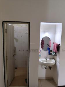Common Bathroom Image of 1000 Sq.ft 3 BHK Apartment / Flat for rent in Motera Ahmedabad for Rs. 30000