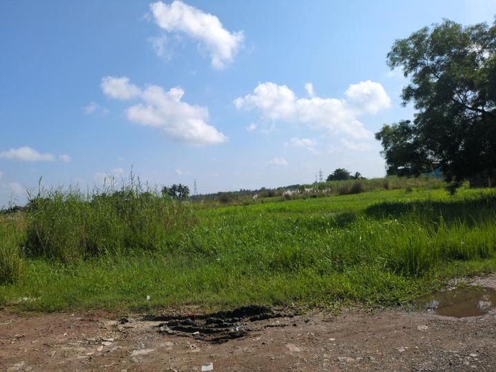 Wander Valley Main Image 1