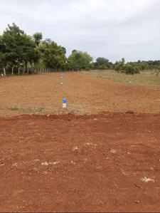 Image of 1250 Sq.ft Residential Plot / Land for sale in Kallandhiri, Madurai for Rs. 717401