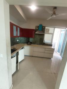 Kitchen Image of 1650 Sq.ft 3 BHK Apartment / Flat for rent in Beverly Golf Avenue, Sector 65 Mohali for Rs. 70000
