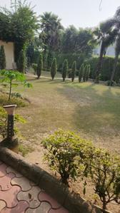 Image of 3000 Sq.ft 3 BHK Farm House for sale in DPL Nature Retreat, Tech Zone, Greater Noida for Rs. 7500000