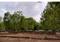 SHREE RAM Plot View 2