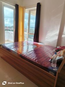 Bedroom Image of 800 Sq.ft 2 BHK Apartment / Flat for rent in Rohan Mithila, Viman Nagar Pune for Rs. 55000