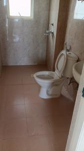 Image of 1140 Sq.ft 2 BHK Apartment / Flat for rent in Terra Elegance, Sector 33, Bhiwadi for Rs. 13000