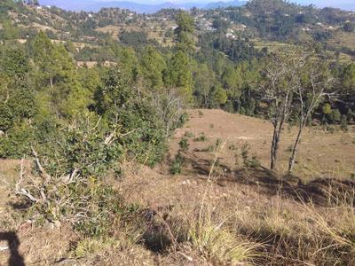 Image of 5400 Sq.ft Residential Plot / Land for sale in Mukteshwar, Nainital for Rs. 8750000