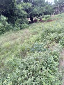 Image of 2722 Sq.ft Residential Plot / Land for sale in Jamin Sidhari, Azamgarh for Rs. 18000000