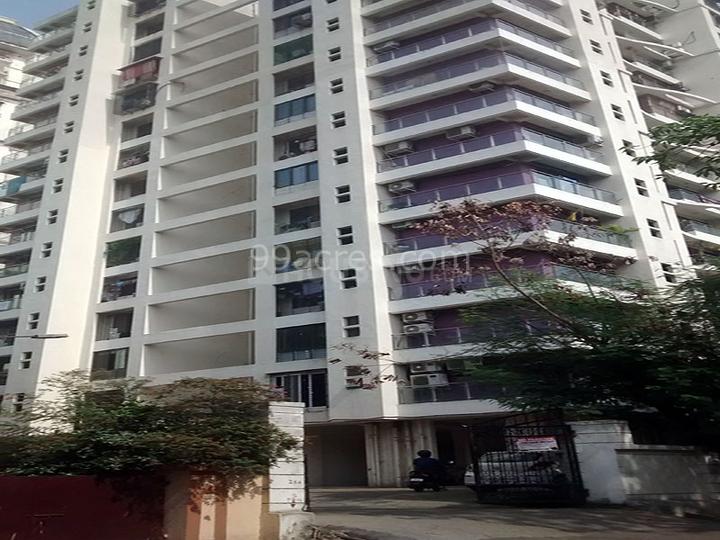 Veena Laya Main Image 1