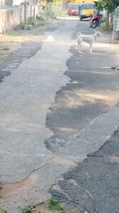 Image of 1250 Sq.ft Residential Plot / Land for sale in Ambattur, Chennai for Rs. 10000000