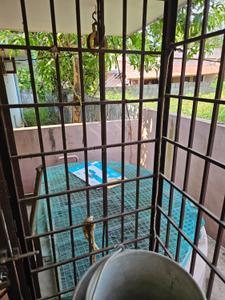 Balcony Image of 1800 Sq.ft 3 BHK Independent House for sale in Angamaly Kochi for Rs. 10000000