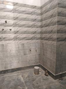 Common Bathroom Image of 450 Sq.ft 1 BHK Apartment / Flat for sale in DLF Ankur Vihar Ghaziabad for Rs. 1500000