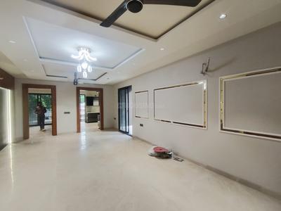 Kitchen Image of 1550 Sq.ft 3 BHK Builder Floor for sale in Sector 23 Gurgaon for Rs. 31500000