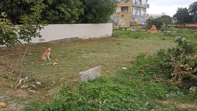 Kyathsandra Plot View 1