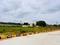 Sri Siddi Vinayaka Global City Plot View 2